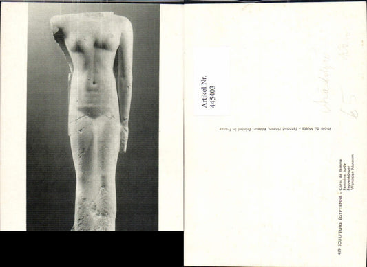 445403,Worcester Museum Frauenkörger Ägypten Archäologie Ausgrabung