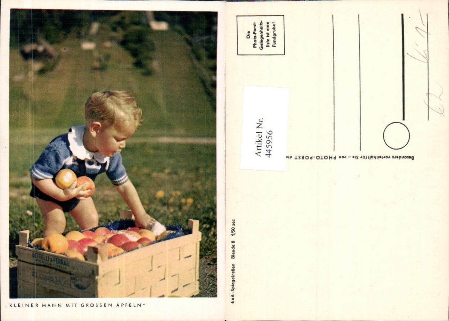 445956,Kind Bub Junge Kleiner Mann mit Grossen Äpfeln Kiste Holzkiste