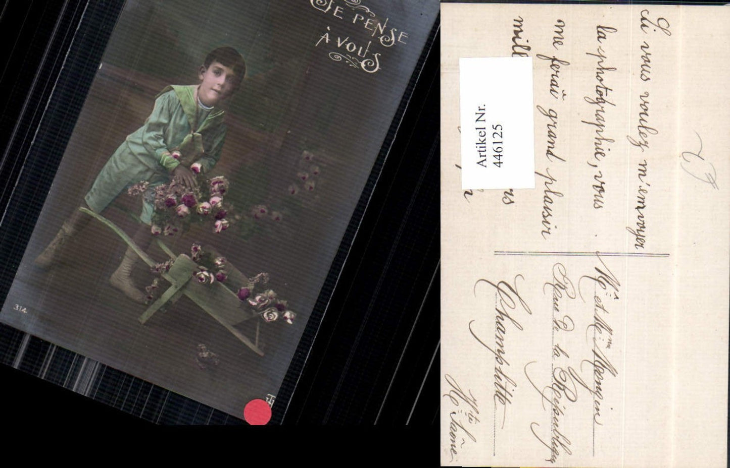 446125,Kind Bub Junge Uniform Matrosenanzug Scheibtruhe Schubkarre Rosen