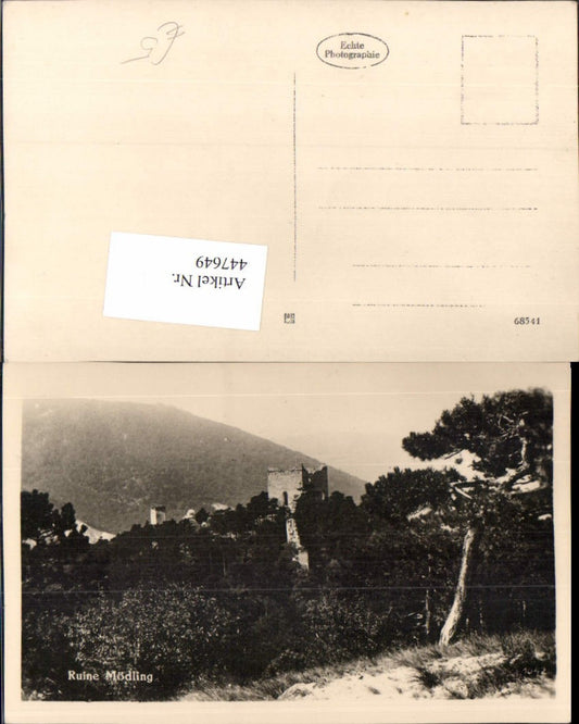 447649,Ruine Mödling