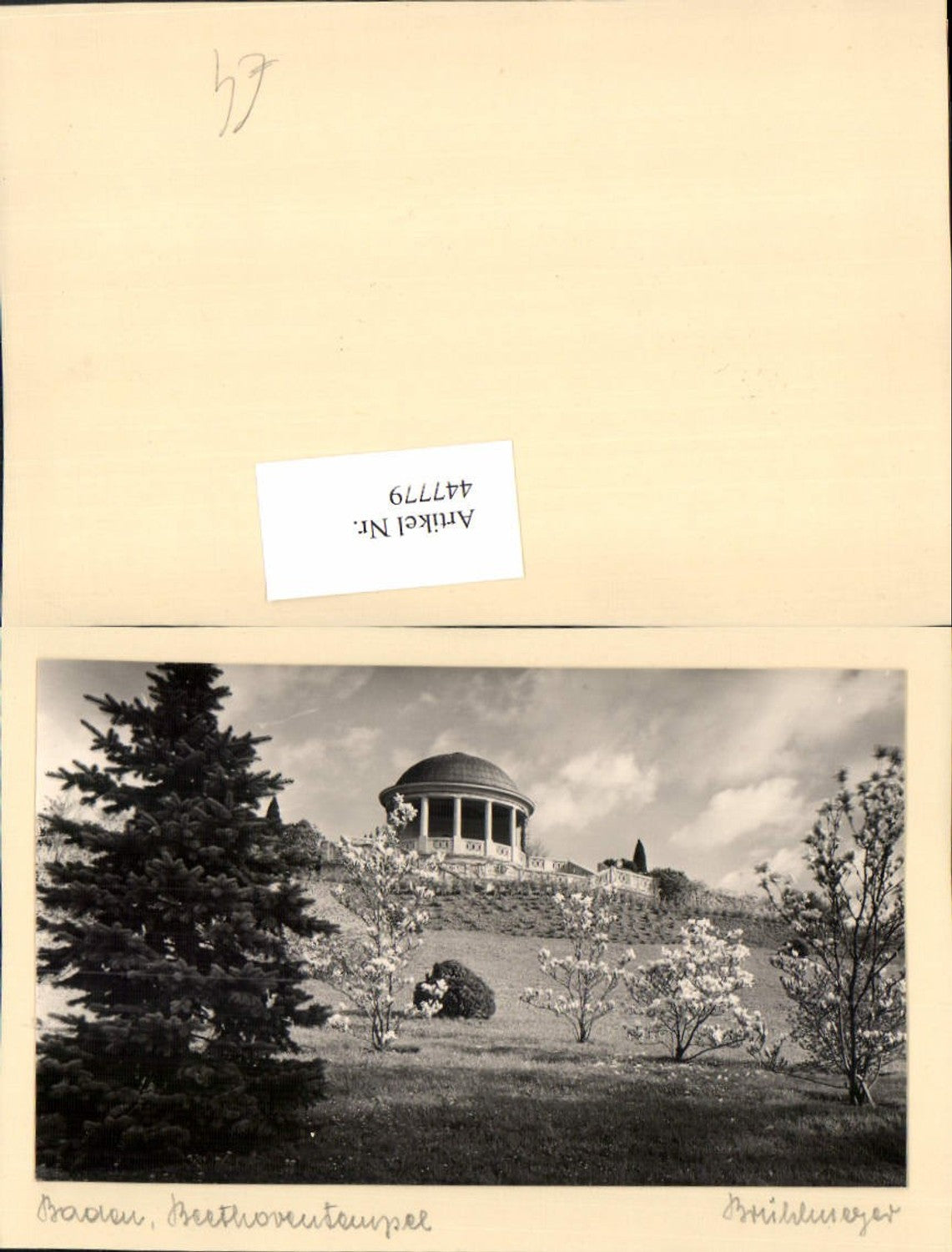 447779,Aufgeklebtes Foto Baden Beethoventempel Tempel pub Brühlmeyer