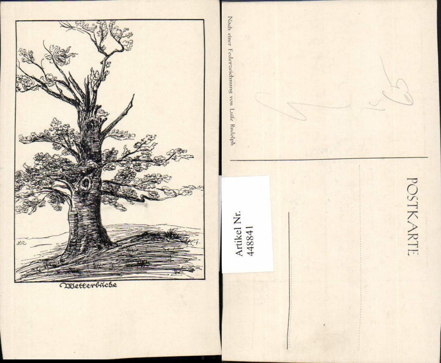 448841,Künstler AK Luise Rudolph Wetterbuche Baum
