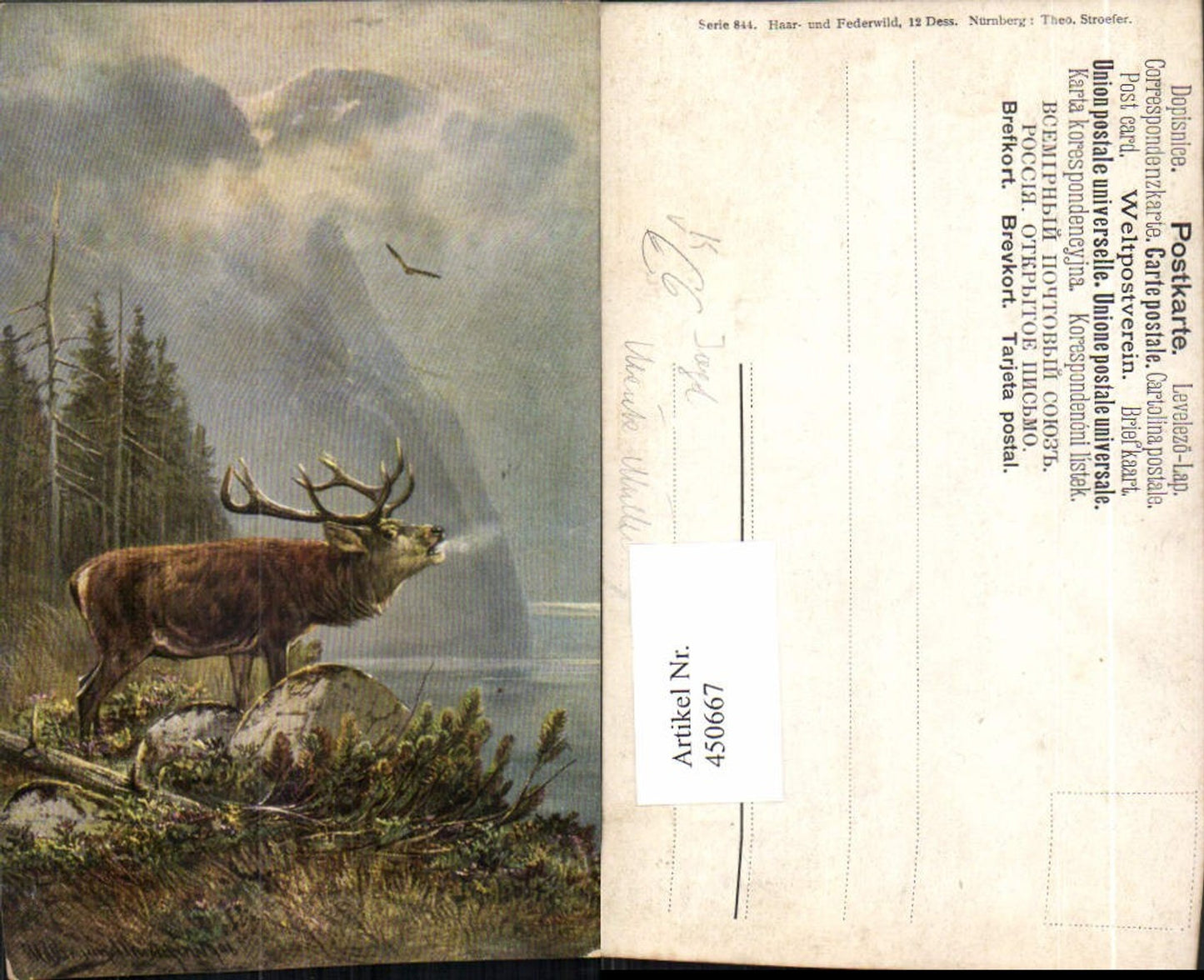 450667,Künstler AK Moritz Müller München Jagd Hirsch Tier pub Theo Stroefer 844