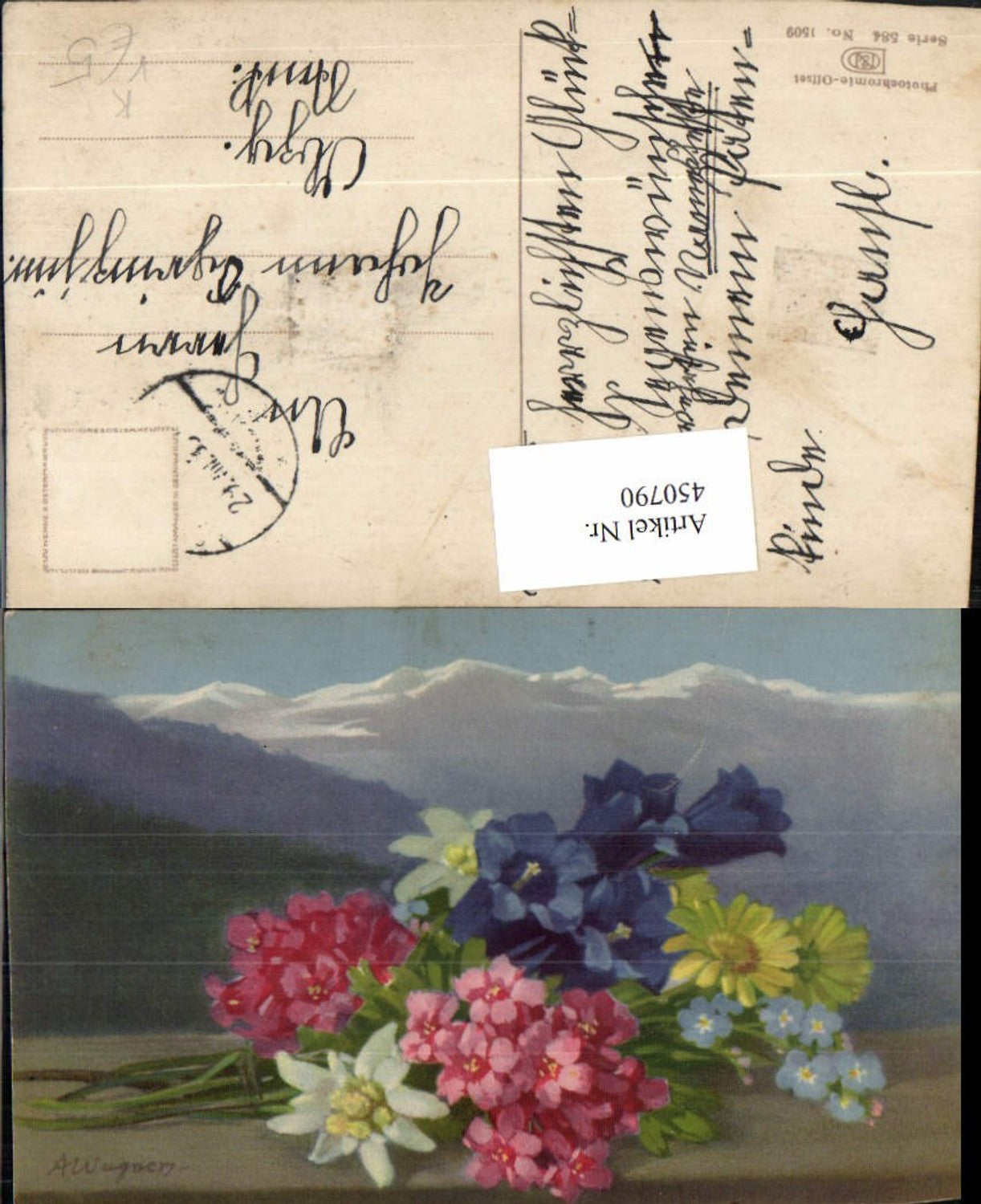450790,Photochromie Nenke & Ostermaier 584/1509 Künstler A. Wagner Alpenblumen