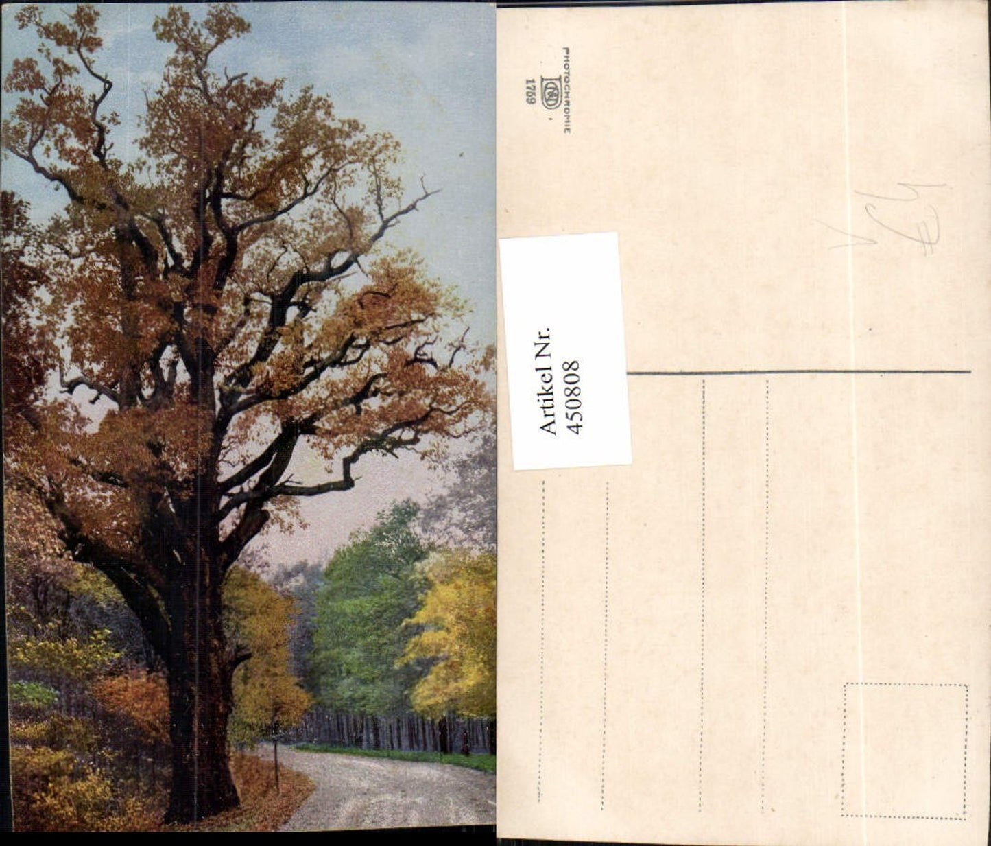 450808,Photochromie Nenke & Ostermaier 1759 Wald Straßenpartie
