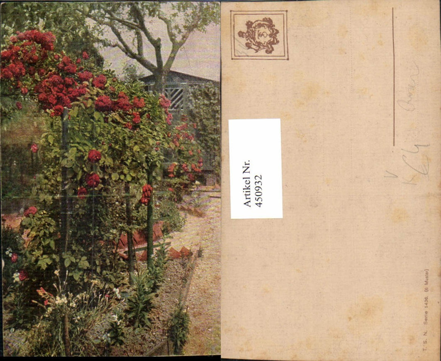 450932,Theo Stroefer 1436 Künstlerkarte Rosenstrauch Rosen