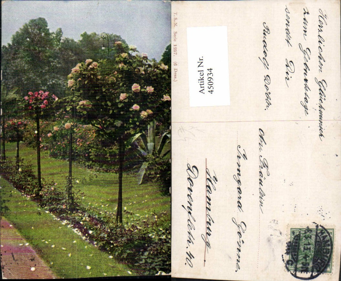 450934,Theo Stroefer 1257 Künstlerkarte Rosenstrauch Rosen