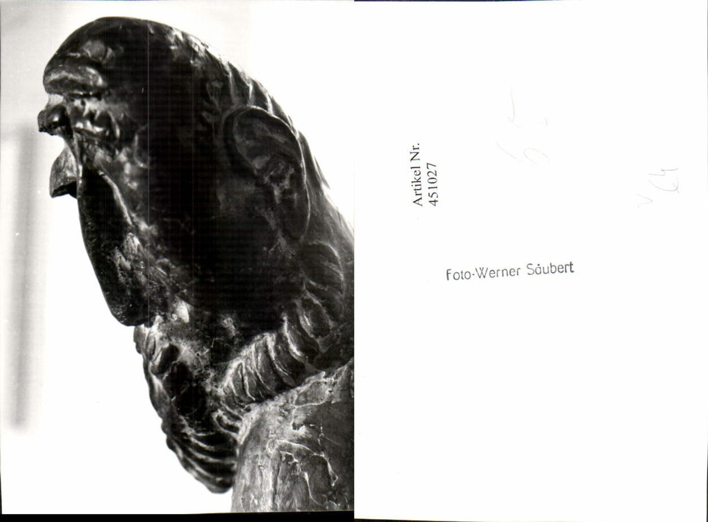 451027,Fotokunst Werner Säubert Mann Kopf Büste