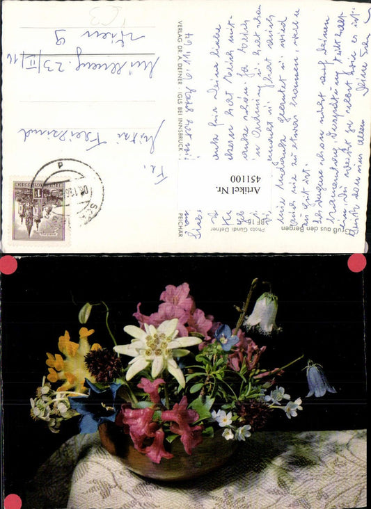 451100,Photographic Art Dr. Defner BF15 Greetings from the Mountains Alpine Flowers