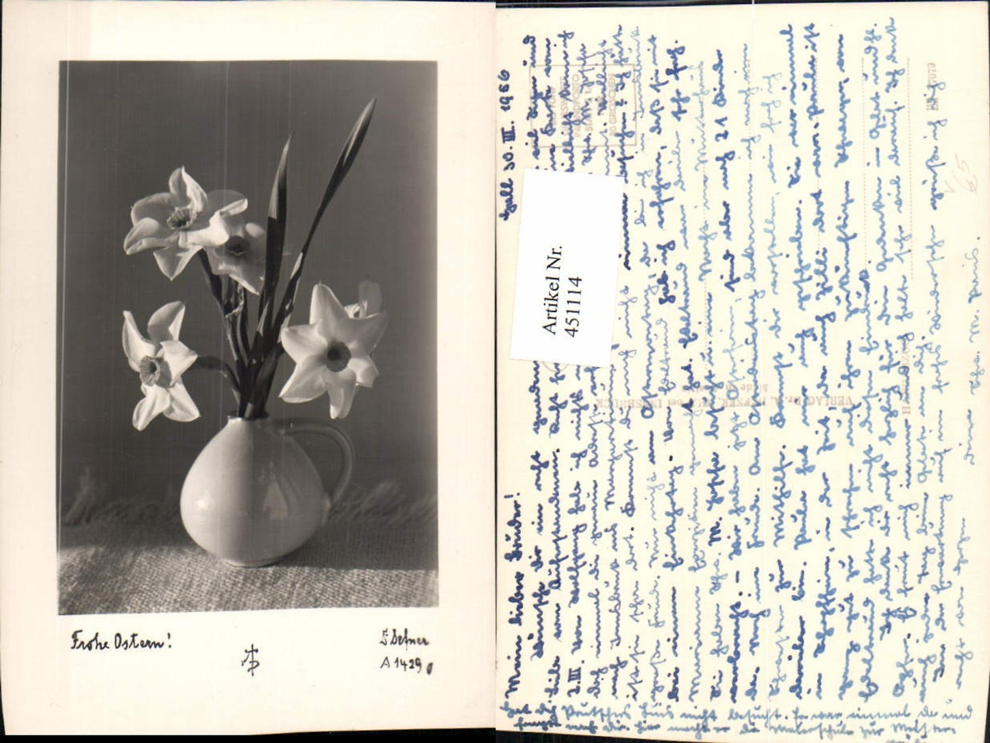 451114,Fotokunst Dr. Defner A1429 Ostern Narzissen Blumen Vase