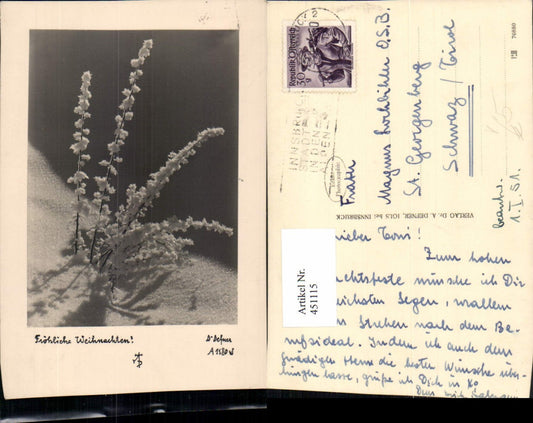 451115,Photographic Art Dr. Defner A1180 Christmas Branches Snow