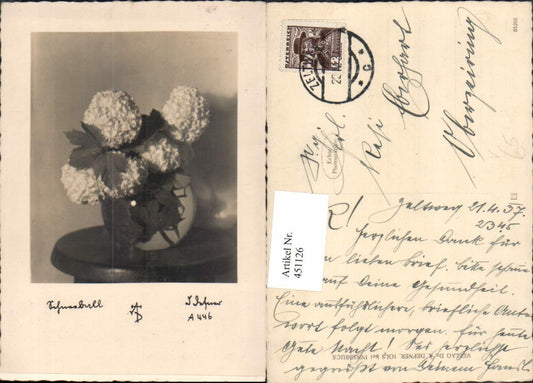 451126,Photographic Art Dr. Defner A446 Snowball Flower Vase