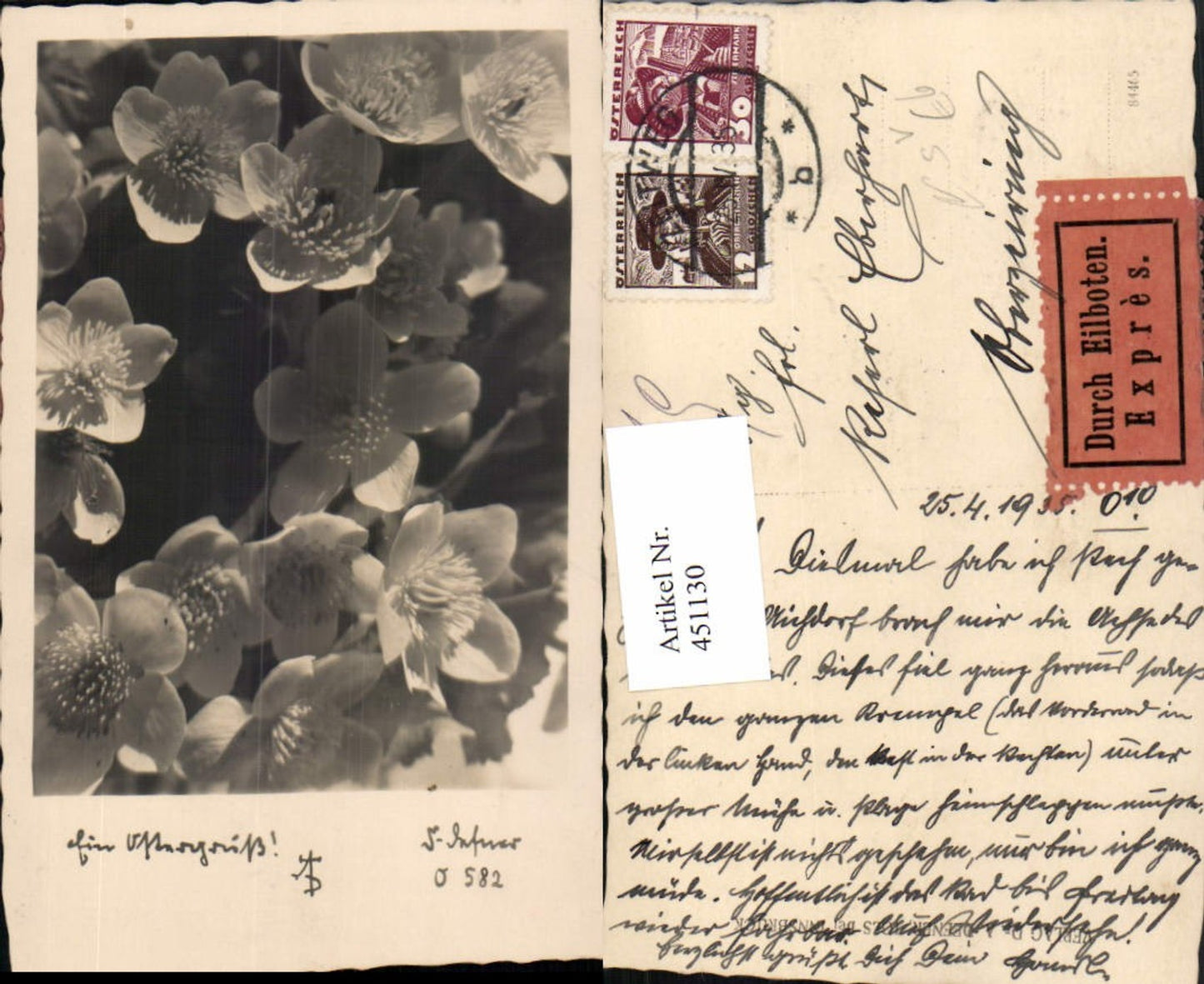 451130,Fotokunst Dr. Defner O582 Ostern Blüten Expres Stempel