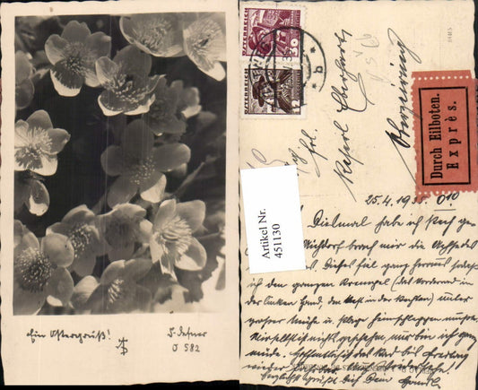 451130,Fotokunst Dr. Defner O582 Ostern Blüten Expres Stempel