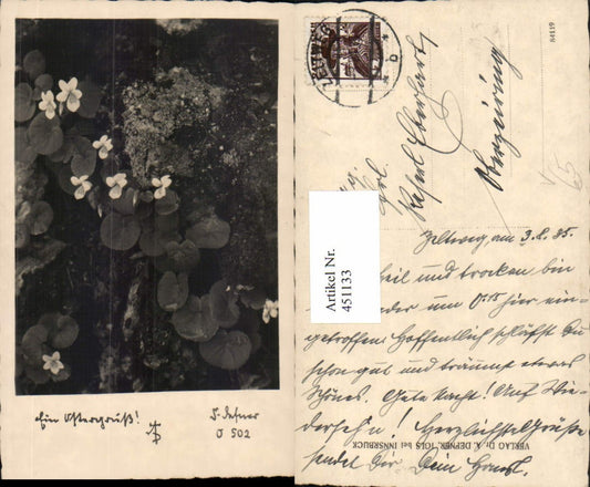 451133,Photographic Art Dr. Defner O502 Easter Greetings Flowers