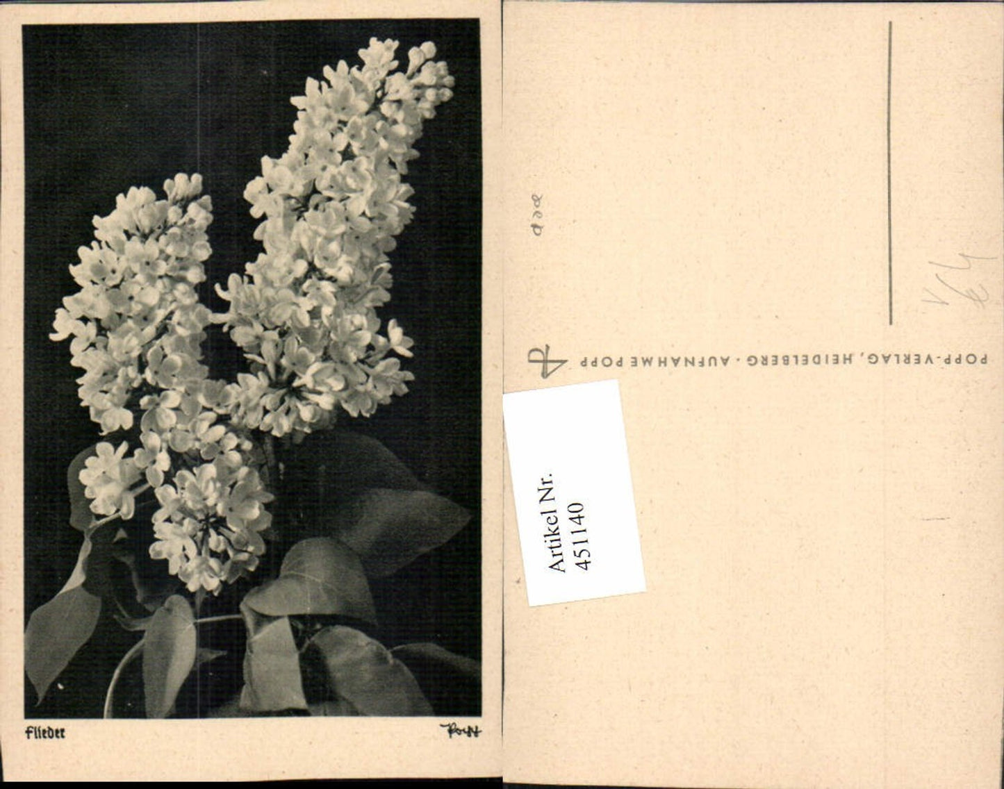 451140,Popp Verlag Flieder Blumen