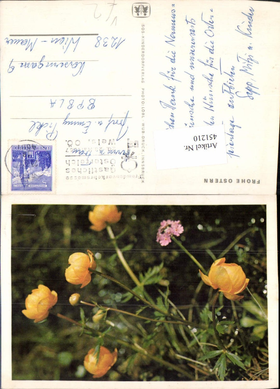 451210,SOS-Kinderdorf Ostern Hahnenfuß Blumen