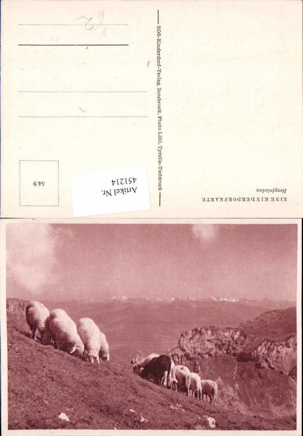451214,SOS-Kinderdorf 54/9 Bergfrieden Schafe Schafherde Bergkulisse
