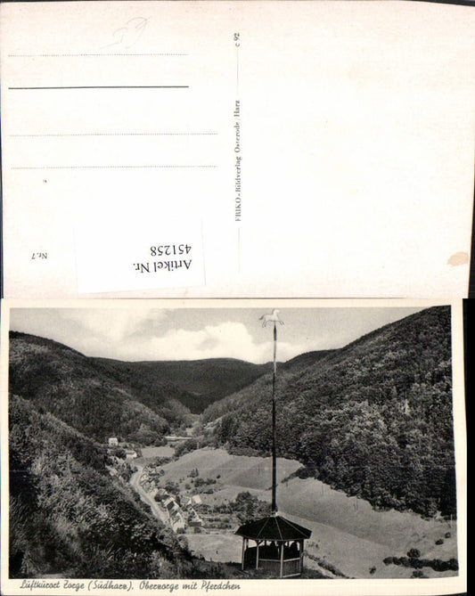 451258,Zorge im Südharz Oberzorge Totale m. Pferdchen Aussichtspunkt