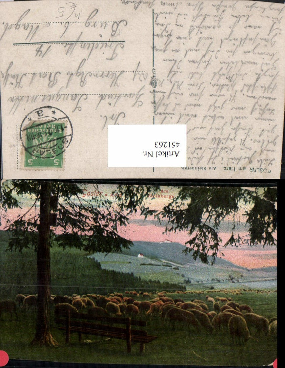 451263,Goslar am Harz Steinberge Schafherde Schafe