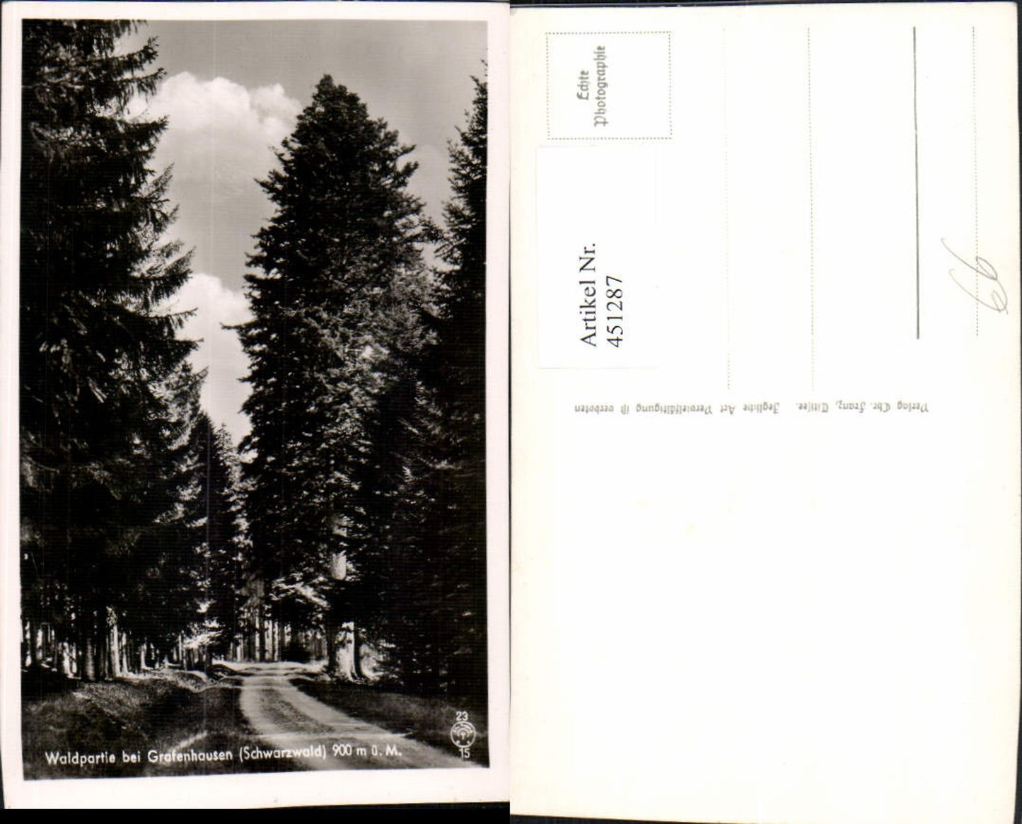 451287,Waldpartie bei Grafenhausen im Schwarzwald Wald