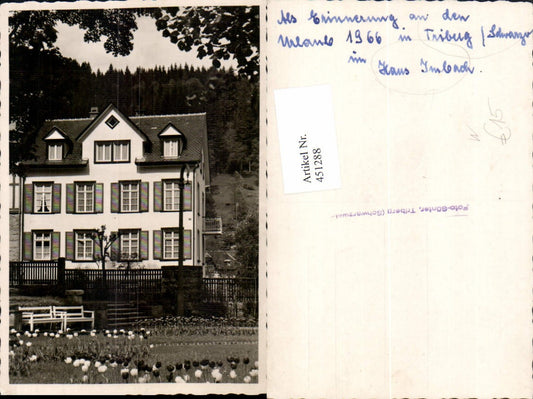 451288,Foto AK Triberg im Schwarzwald Haus Imbach Tulpen