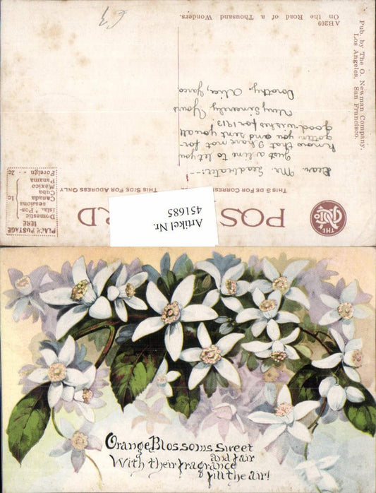 451685, Artist AK Orange Blossoms Orange blossoms Blossoms
