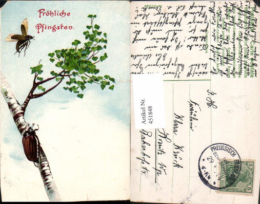 451848, Artist AK Pentecost Birch Tree May Beetle Beetle