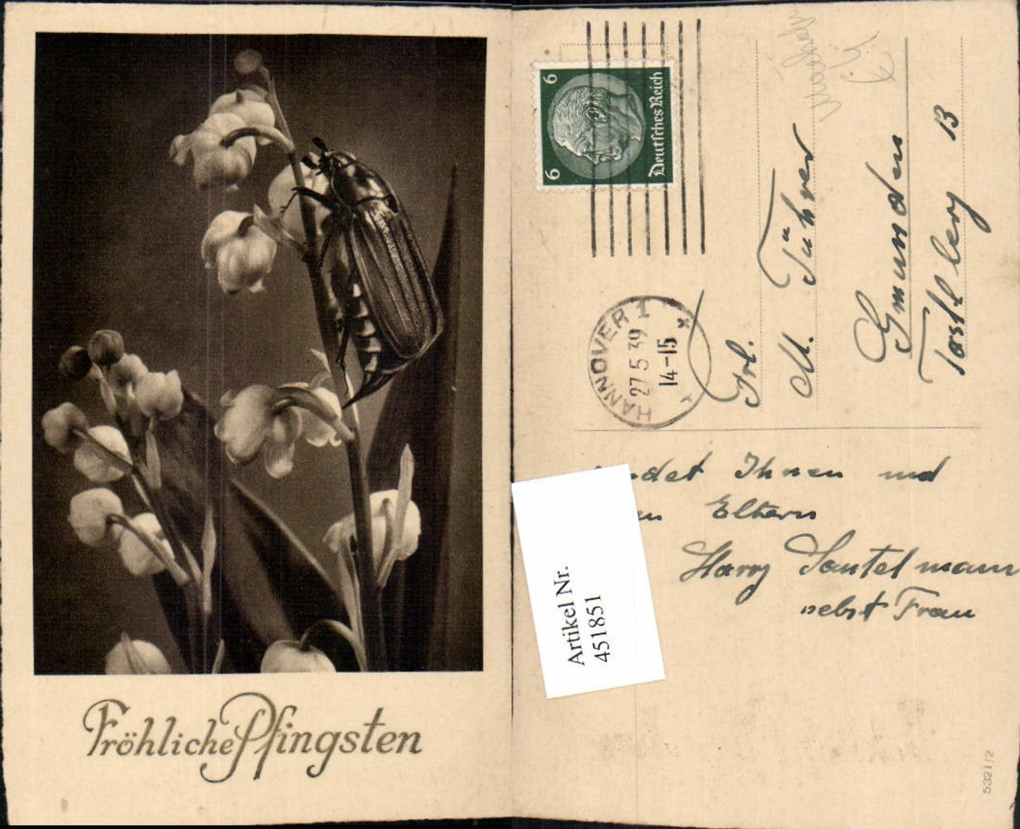 451851, Pentecost May beetle Beetle Lily of the valley Flowers