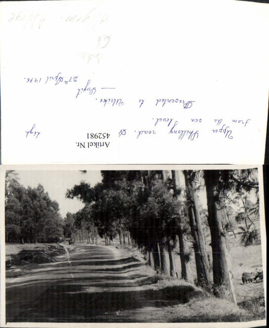 452981,Foto AK India Meghalaya Upper Shillong road Straßenpartie