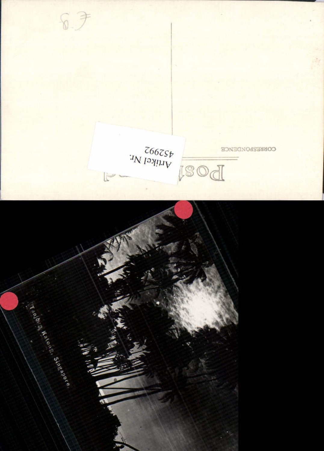 452992,Singapore Tanjong Kalong Strand Palmen