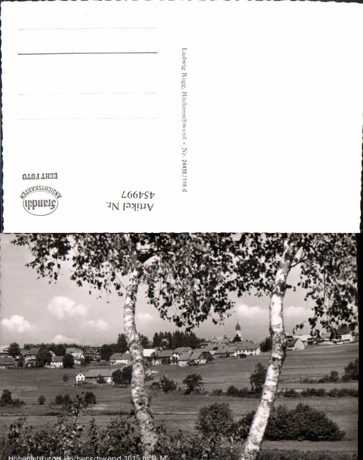 454997,Höchenschwand Totale Birken Bäume