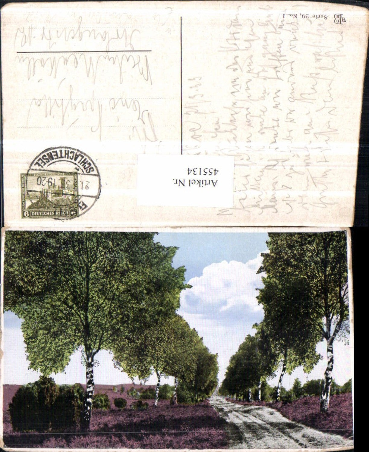 455134,Lüneburger Heide Landschaft Birken Bäume