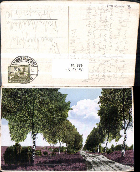 455134,Lüneburger Heide Landschaft Birken Bäume