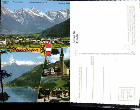 455630,Maishofen Totale Kirche Almabtrieb See Mehrbildkarte