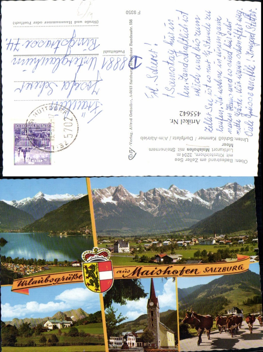 455642,Maishofen Totale Kirche Almabtrieb Mehrbildkarte