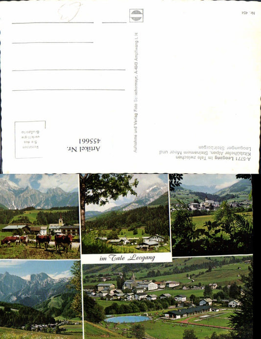 455661,Leogang Totale Freibad Kühe Mehrbildkarte