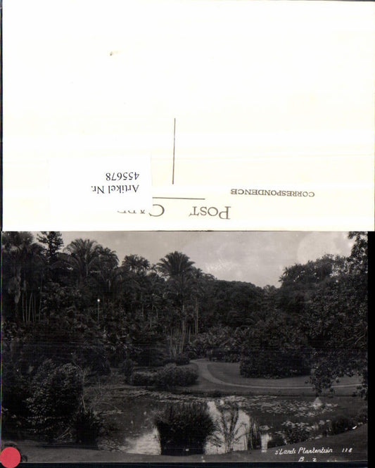 455678,Indonesia Jakarta Kebun Raya Bogor Lands Plantentuin Botanischer Garten