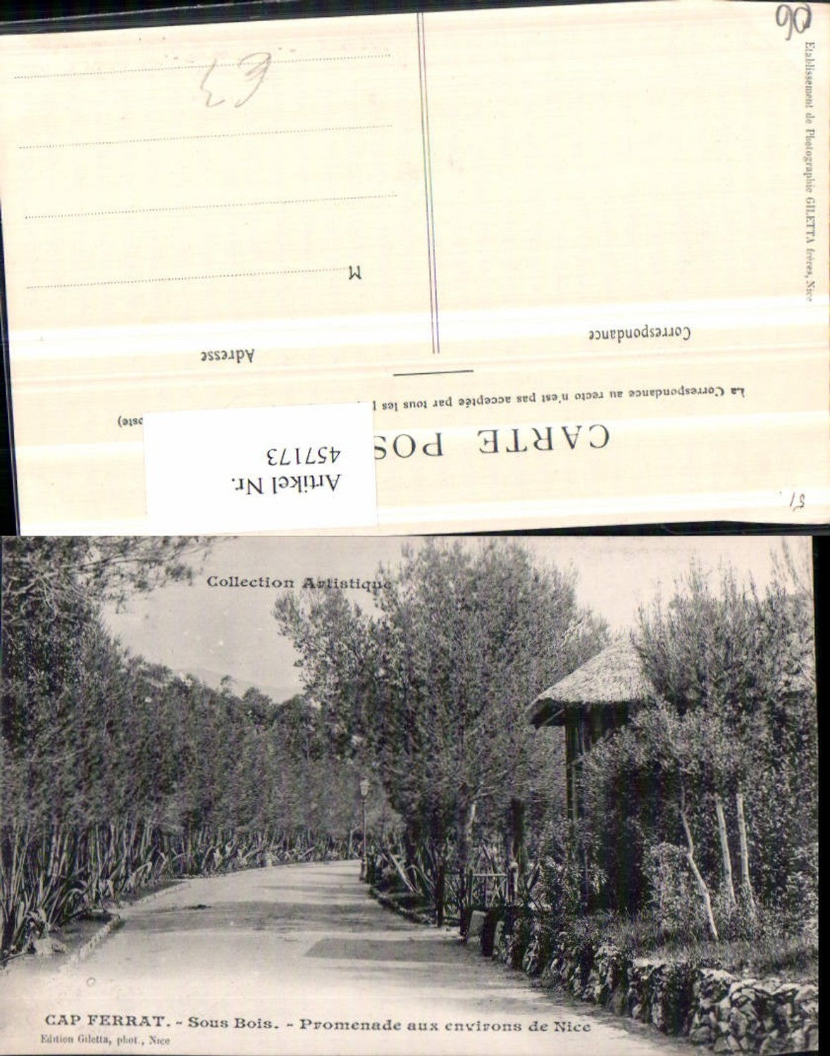 457173,Provence-Alpes-Cote-Azur Alpes-Maritimes Cap Ferrat Sous Bois Promenade