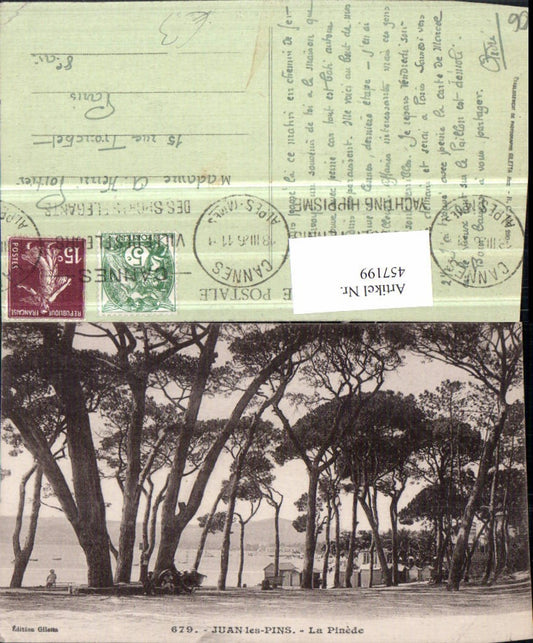 457199,Provence-Alpes-Cote-Azur Alpes-Maritimes Juan-les-Pins Pinede Bäume