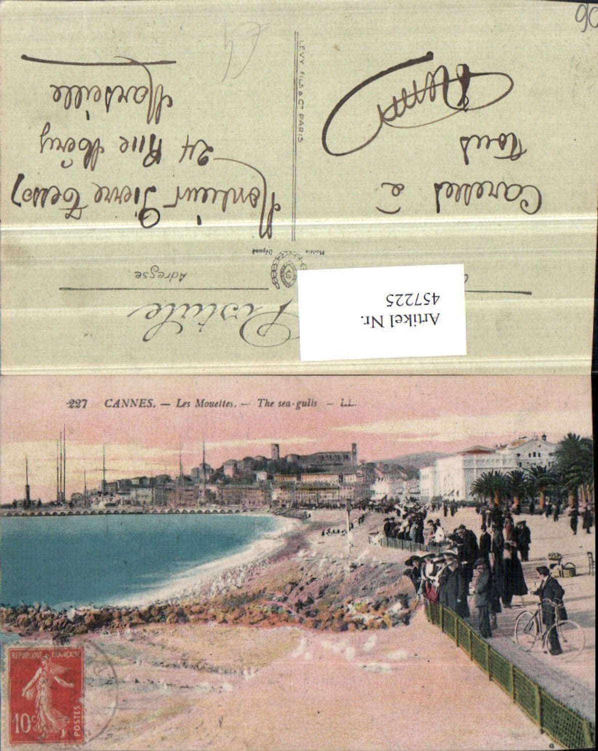 457225,Provence-Alpes-Cote-Azur Alpes-Maritimes Cannes Mouettes Sea-Gulls Küste