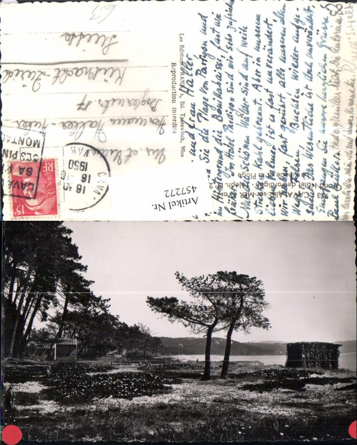 457272,Provence-Alpes-Cote-Azur Var Cavalaire-sur-Mer Pinede et la Plage