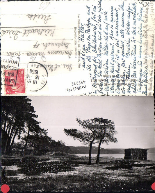 457272,Provence-Alpes-Cote-Azur Var Cavalaire-sur-Mer Pinede et la Plage