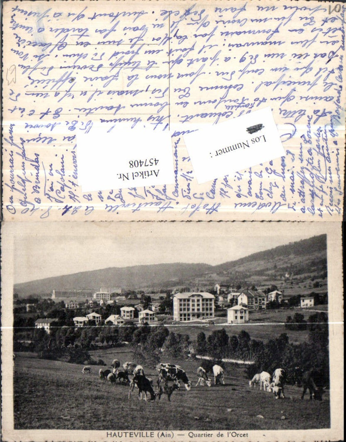 457408,Rhone-Alpes Ain Hauteville Quartier de Orcet Rinder