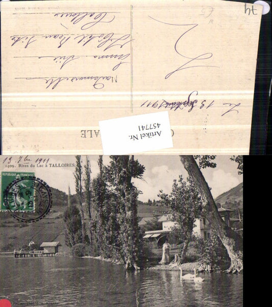 457741,Rhone-Alpes Haute-Savoie Rives du Lac a Talloires See Schwäne