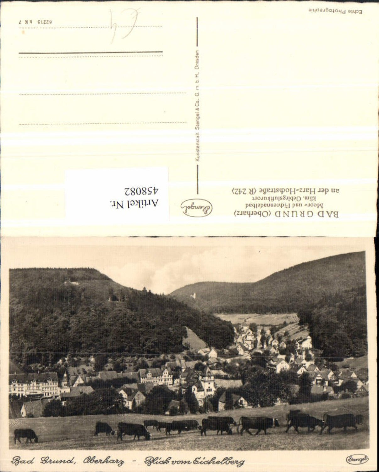 458082,Bad Grund im Oberharz Totale vom Eichelberg pub Stengel & Co