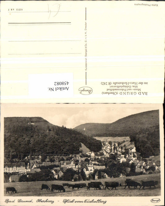 458082,Bad Grund im Oberharz Totale vom Eichelberg pub Stengel & Co