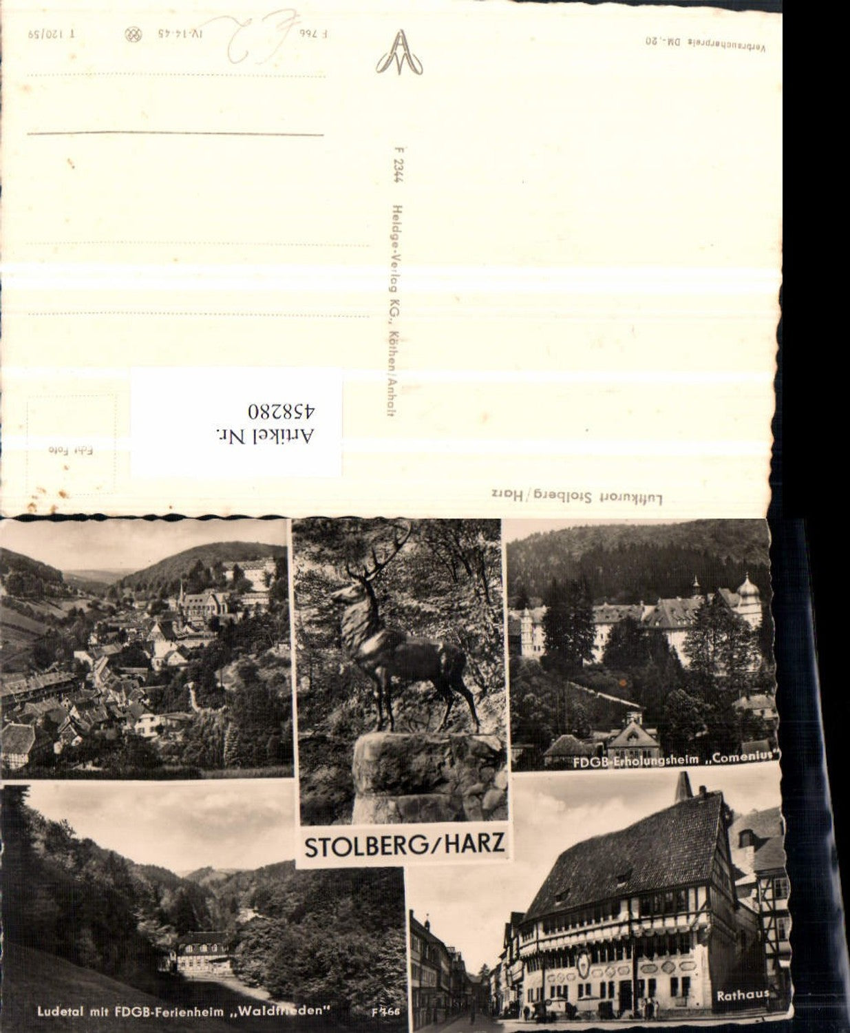 458280,Stolberg am Harz Totale Rathaus Hirsch Statue Mehrbildkarte