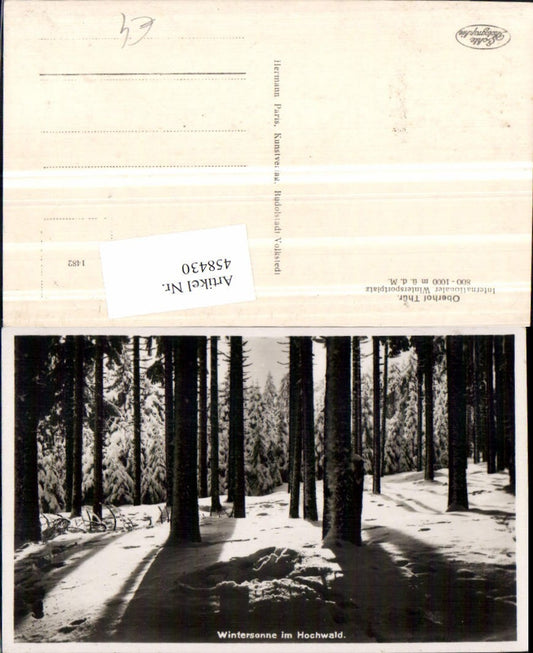 458430, Oberhof Hochwald Winter sun Forest Trees
