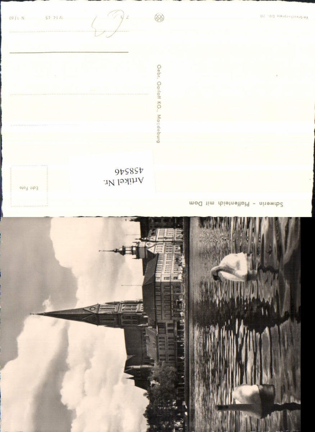 458546,Schwerin Pfaffenteich m. Dom Kirche Schwäne